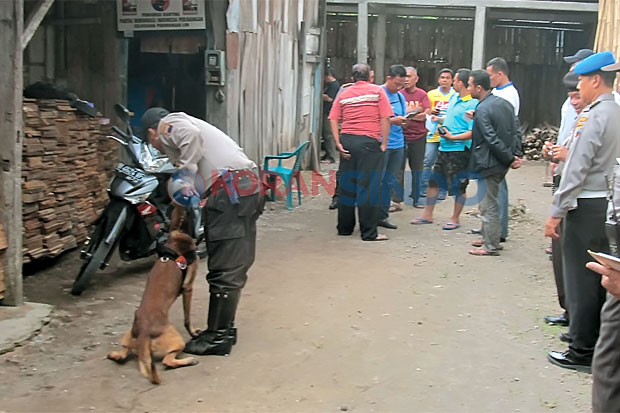 Juragan Kayu Diduga...