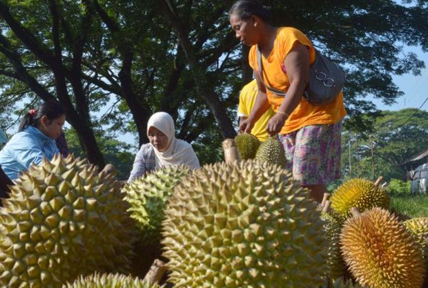 Berkat Pertamina, Petani...