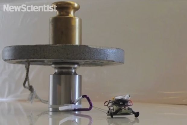 Robot Mungil Punya Kekuatan...