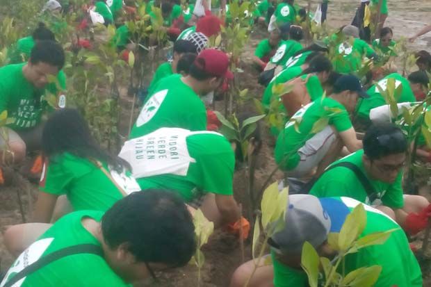 Seribu Pohon Bakau Ditanam...