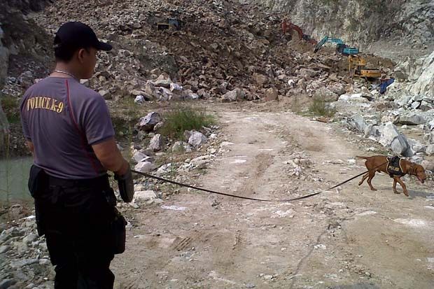 Anjing Pelacak Cari...