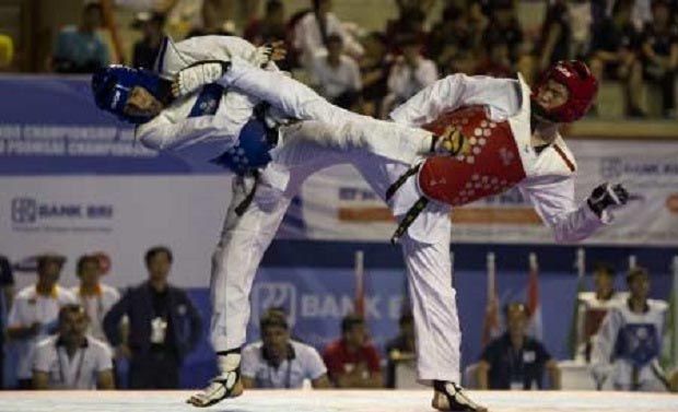 Tekwondoin Indonesia...
