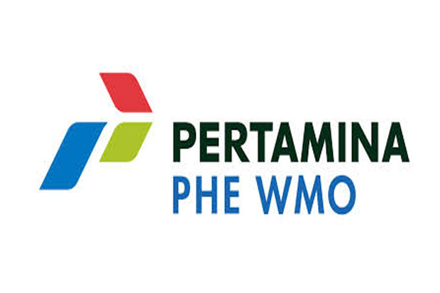 PHE WMO Kembangkan Biopori...