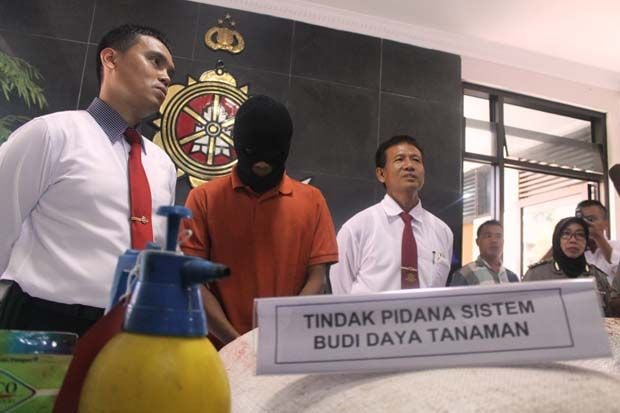 Polda Jateng Gerebek...