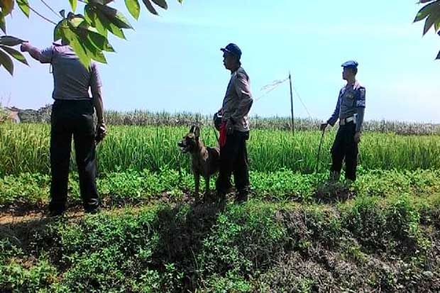 Tiga Jam, Polisi dan...