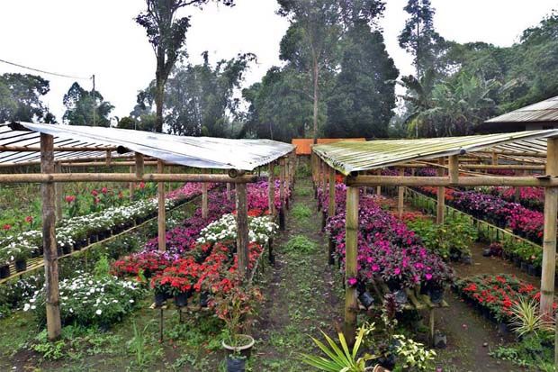 Indahnya Kota Bunga...