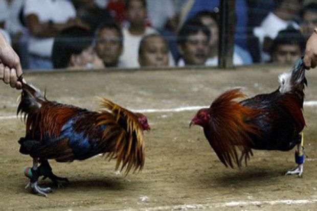 Manny Pacquiao Doyan...