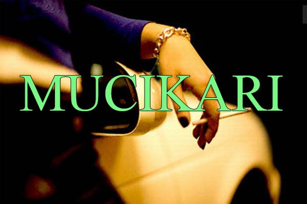 Mucikari Artis Dijerat...