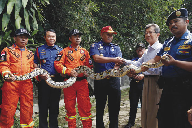 Padamkan Api dan Tangkap...