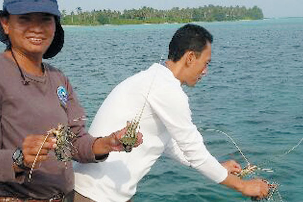 Ukuran Belum Standar,...