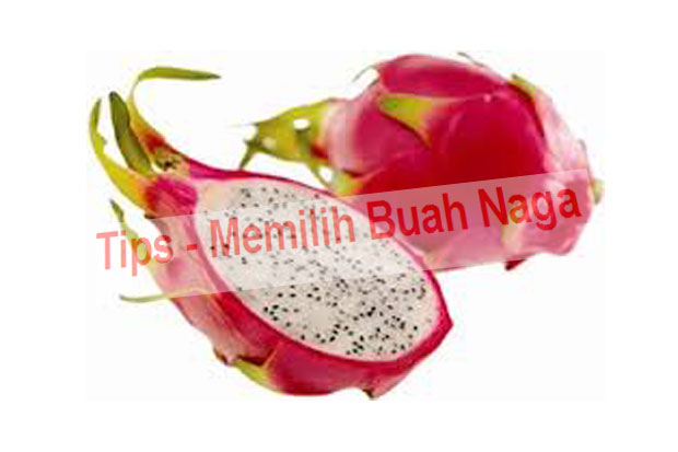 Memilih Buah Naga