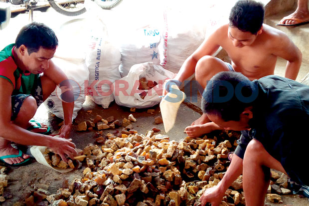 Waspada Sering Mengasah...