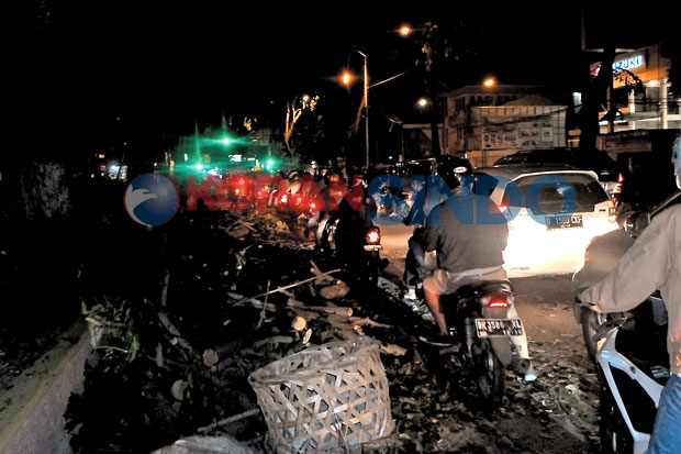 Pemangkasan Pohon Bikin...