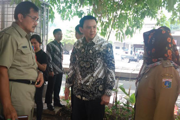 Sidak Taman, Ahok Semprot...