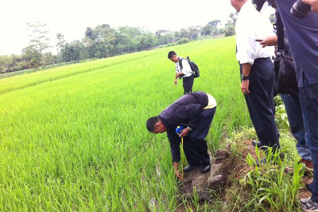 Traktor Terguling saat...