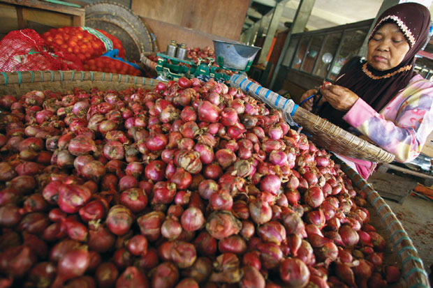 Bawang Merah Tembus...