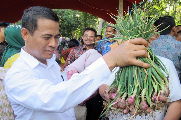 Stok Aman, Harga Bawang...
