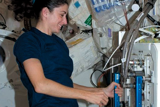 Tikus di AntariksaMemiliki...