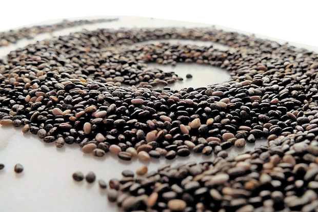 Chia Seed,Superfood...