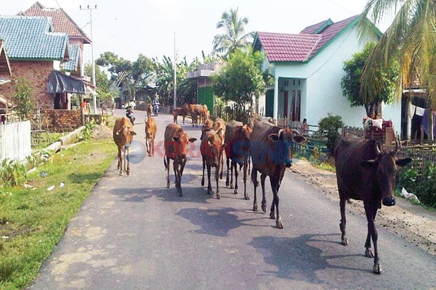 Pengendara Keluhkan...