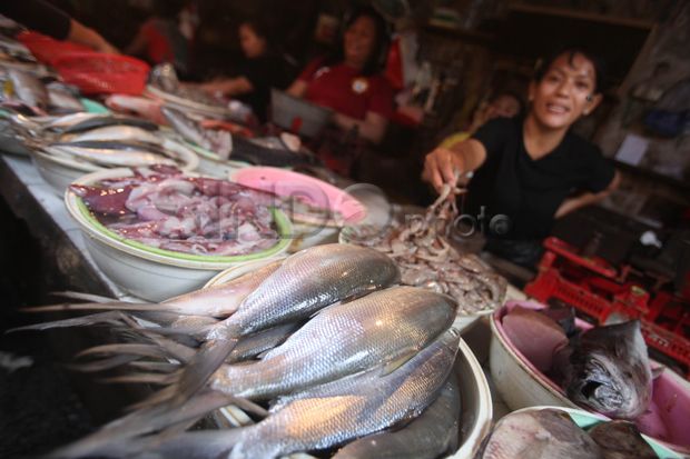 Harga Ikan Diperkirakan...