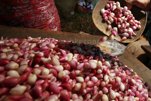 Harga Referensi Bawang...