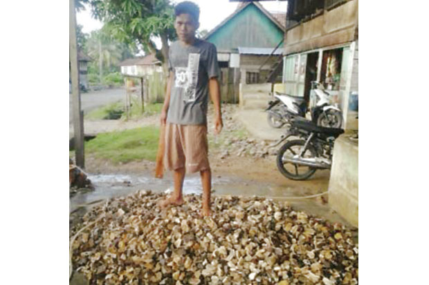 Permintaan Batu Akik...