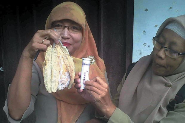 Ikan Berformalin Ditemukan...