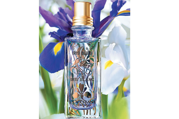 Wewangian Bunga Iris