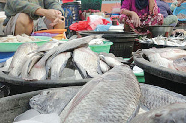 Permintaan Ikan Meningkat...
