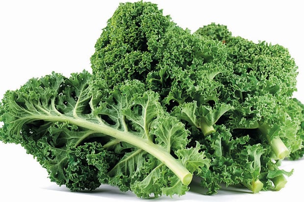 Kale,Primadona Sayuran...