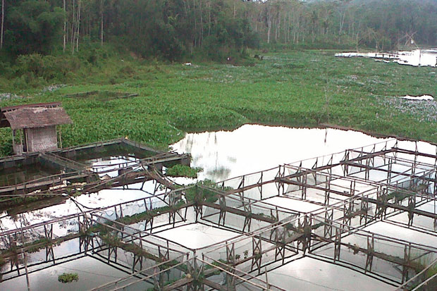 Diusulkan, Tasikmalaya...