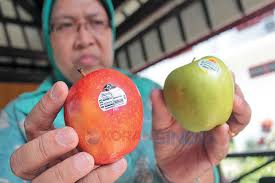 Waspada, Buah Impor...