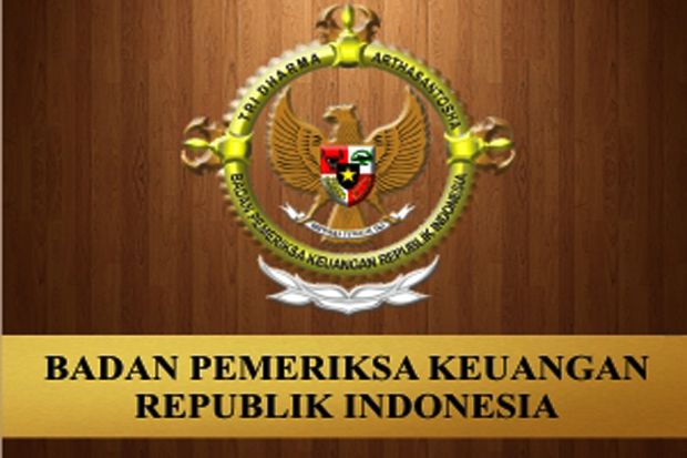 BPK Audit Kinerja Pemerintah...