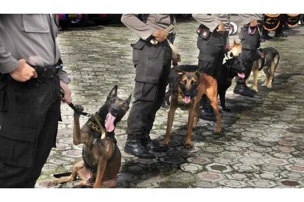 Cari Senjata TNI di...