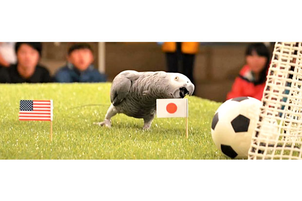 Jepang Diramalkan Juara