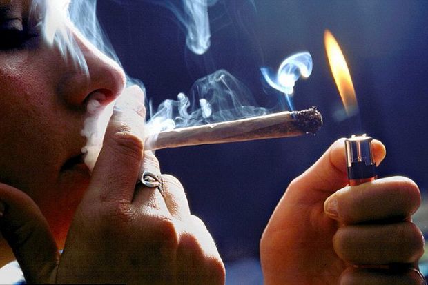 Konsumsi Ganja saat...