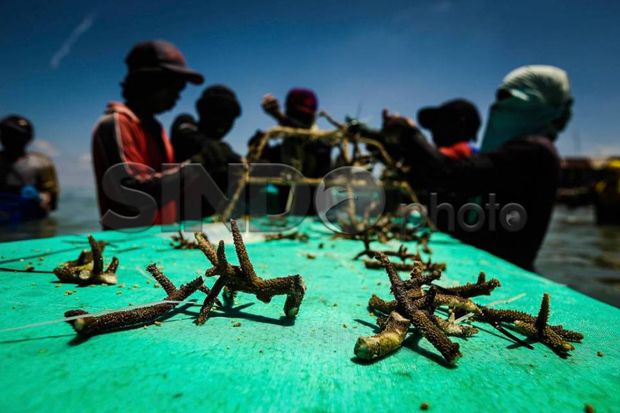 Korps Marinir Tanam...