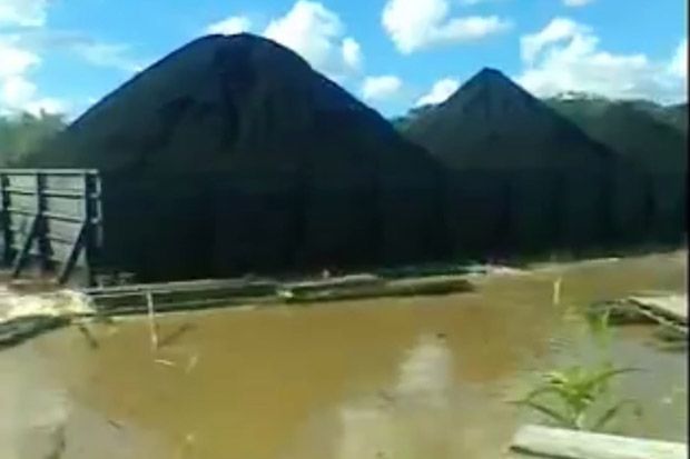 Habitat Pesut Mahakam...