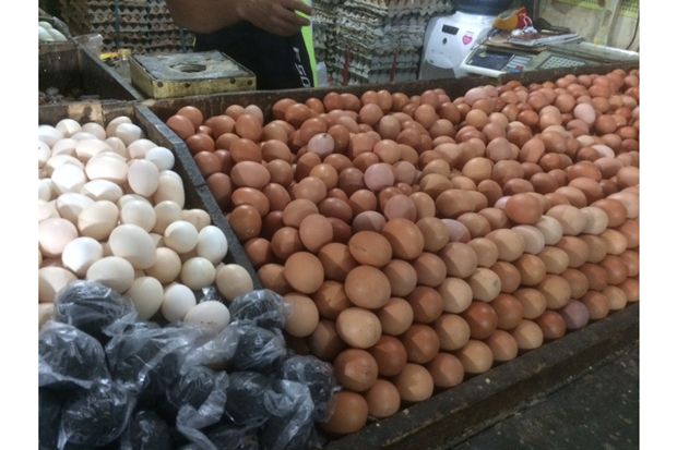 Harga Telur Terkerek...