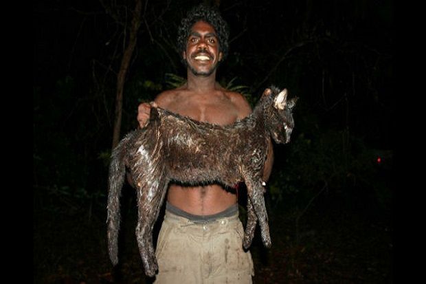 Kontroversial, Australia...