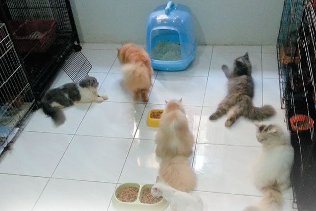 Mudik Tanpa Khawatirkan...
