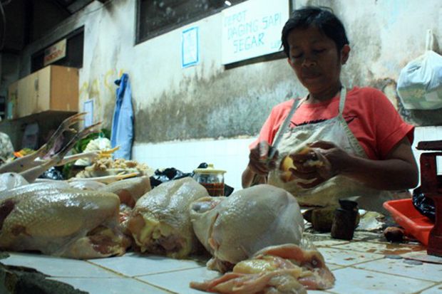 Harga Daging Ayam di...