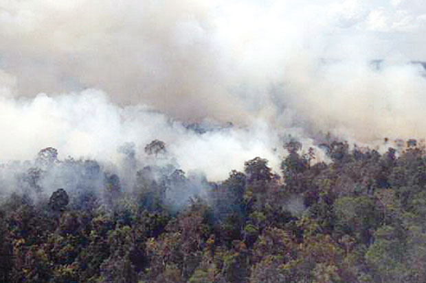 Lahan Gambut Muba Terbakar