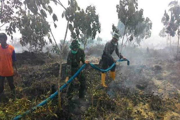 Bahaya! Kebakaran Hutan...