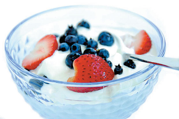 Greek Yoghurt Camilan...