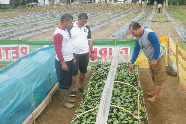 Petani Dilatih Gunakan...