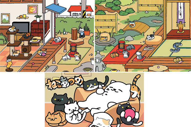 Pelihara Kucing di Pekarangan