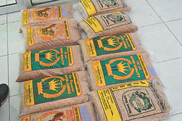 Bibit Padi Diduga Palsu...