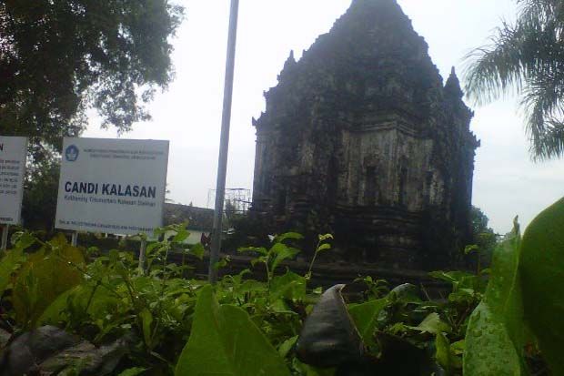 BPCB Kesulitan Bebaskan...